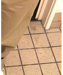 adidas | スニーカー