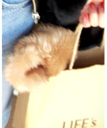 GU | デニムパンツ