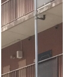 TOMMY HILFIGER | Tシャツ/カットソー