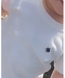 POLO | Tシャツ/カットソー
