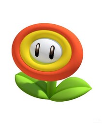 イメージ | ファイヤーフラワー🌻(その他)