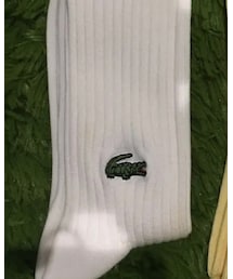 LACOSTE | ソックス/靴下