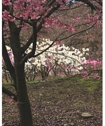 ZARA | ニット/セーター