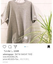 wtw | Tシャツ/カットソー
