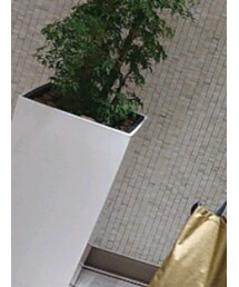 ローリーズファーム | パンツ