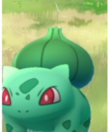 フシギダネ | その他