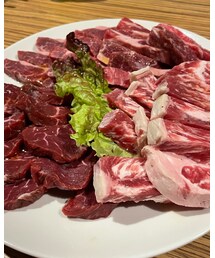 肉肉(☝︎ ՞ਊ ՞)☝︎ | その他