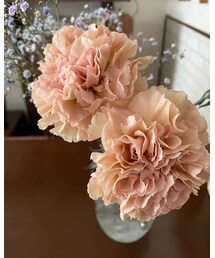可愛い色のお花❁✿✾  ✾✿❁︎ | その他