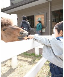 馬 | その他