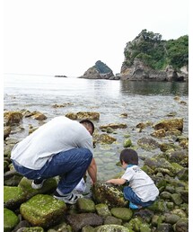 磯遊び | その他