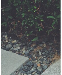 H&M | デニムパンツ