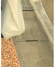 Champion | Tシャツ/カットソー