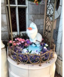 Disney Land | その他