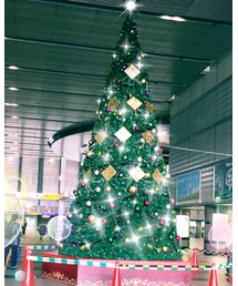 最寄り駅に 今年も登場🎄 | その他