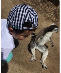 動物を見に☽ | その他