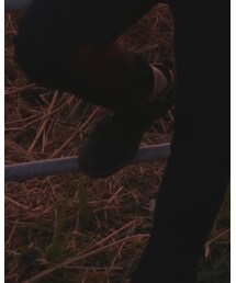 Timberland | ブーツ