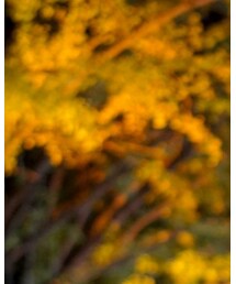 ZARA | ジャケット/アウター