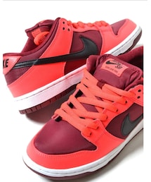 NIKE SB | スニーカー
