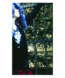 CIVARIZE | トップス