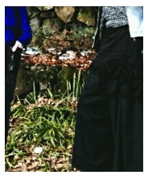 CIVARIZE | スカート