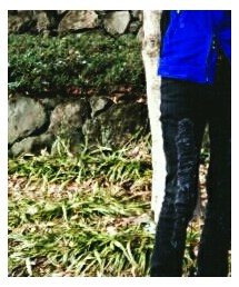 SEANA | その他パンツ