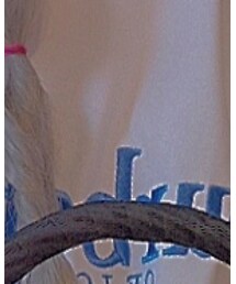 bbr | Tシャツ/カットソー