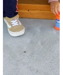 UNIQLO | スラックス