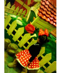 プルートの家 | その他