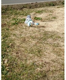 ころぶ | その他