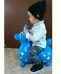 ロディ | その他