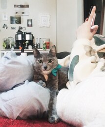 room mate | その他