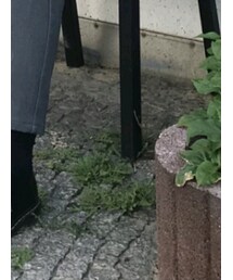 Dr. Martens | シューズ