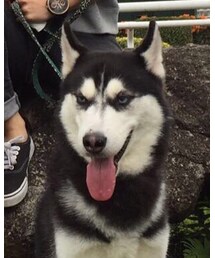 My Lovely Woody | その他