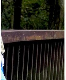 Dickies | チノパンツ