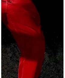 used | その他パンツ