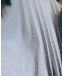 Honeys | Tシャツ/カットソー