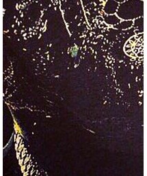 non trouve | Tシャツ/カットソー