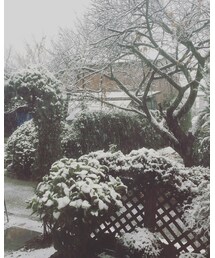 雪景色 | その他