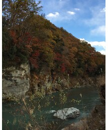 紅葉🍁 | その他