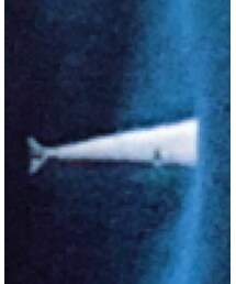 DESCENDANT | パーカー