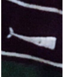 DESCENDANT | Tシャツ/カットソー