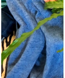 babyGAP | パーカー