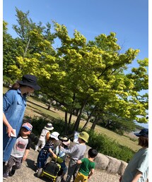 遊ぶ子供たち | その他