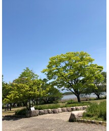 お天気いい公園 | その他