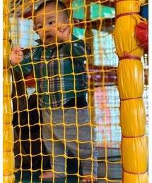 ジムの上でおーい | おもちゃ