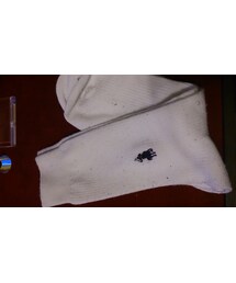 RALPH LAUREN | ソックス/靴下
