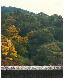 清水寺 | Tシャツ/カットソー