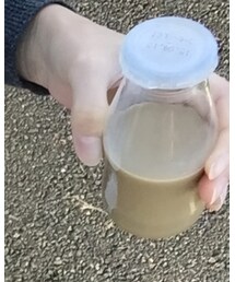 コーヒー牛乳 | その他