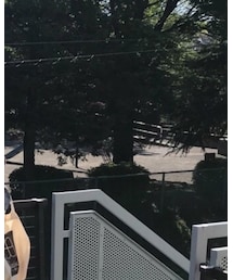 morgenwerk | デジタル腕時計