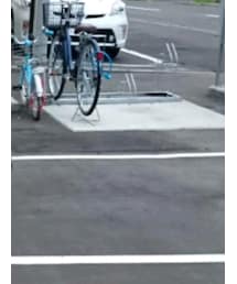 GAP | Tシャツ/カットソー